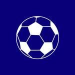 bola de futebol branca e azul