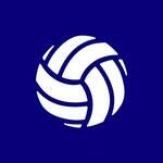 bola de volei branca e azul